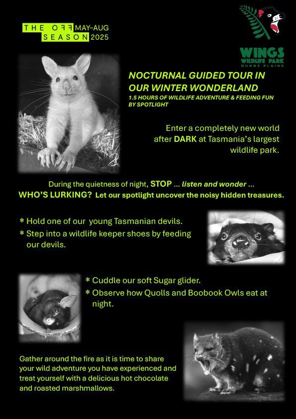 OFF SEASON Nocturnal offer 2025