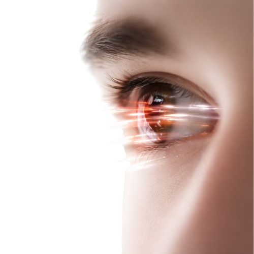 Red globe made of dots inside a ring of words, on white and gray background.