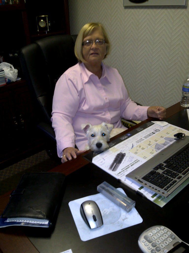 Pet With Owner In Office