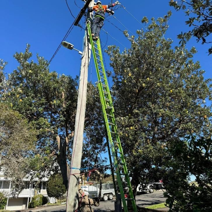 A Man Is Standing On Top Of A Telephone Pole With A Green Ladder — PRO Solar & Electrical In Lake Macquarie, NSW