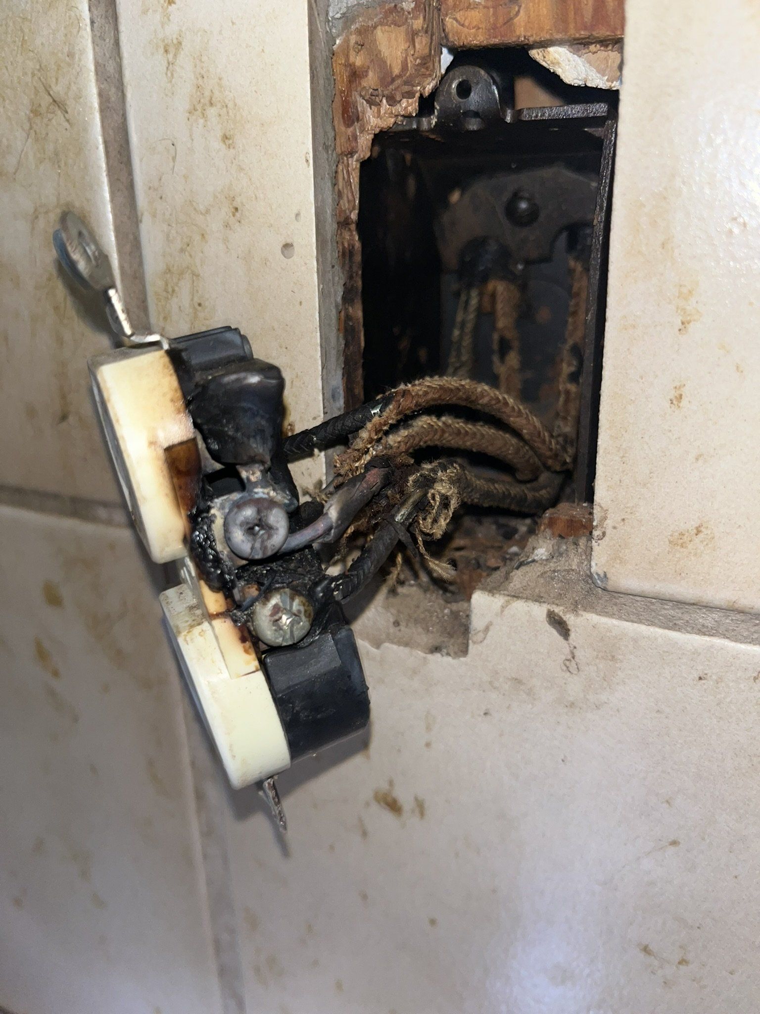 A snake is crawling out of a hole in a wall.