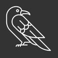 A white line drawing of a bird on a black background.