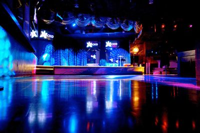 Get Wild At Orchid Dance Bar Club Ferndale Mi Michigan