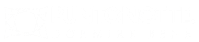 Punto Notte - Logo