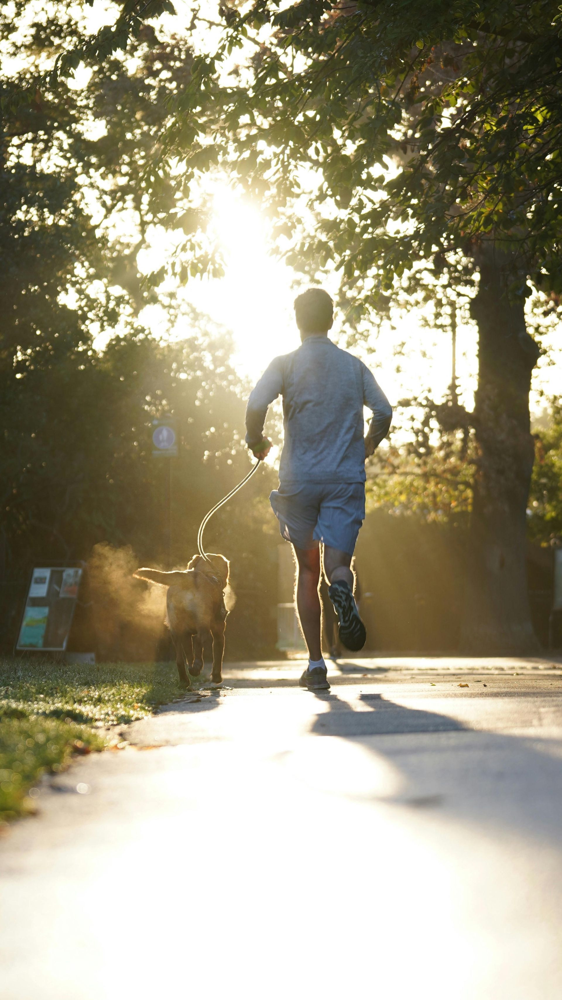 Man running with dog on a path; sunlit trees in the background, dust is kicked up.