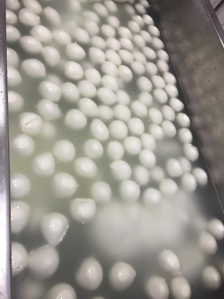 Bocconcini di provola e mozzarella in acqua