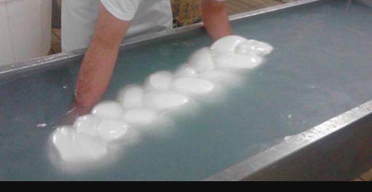 Treccia di mozzarella fresca in acqua