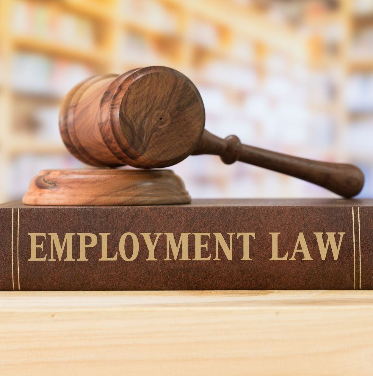 A wooden gavel is sitting on top of a book titled employment law