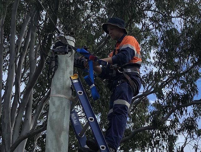 A Man Is Sitting on A Ladder Working on A Pole — Paton's Electrical Services in K'Gari, QLD
