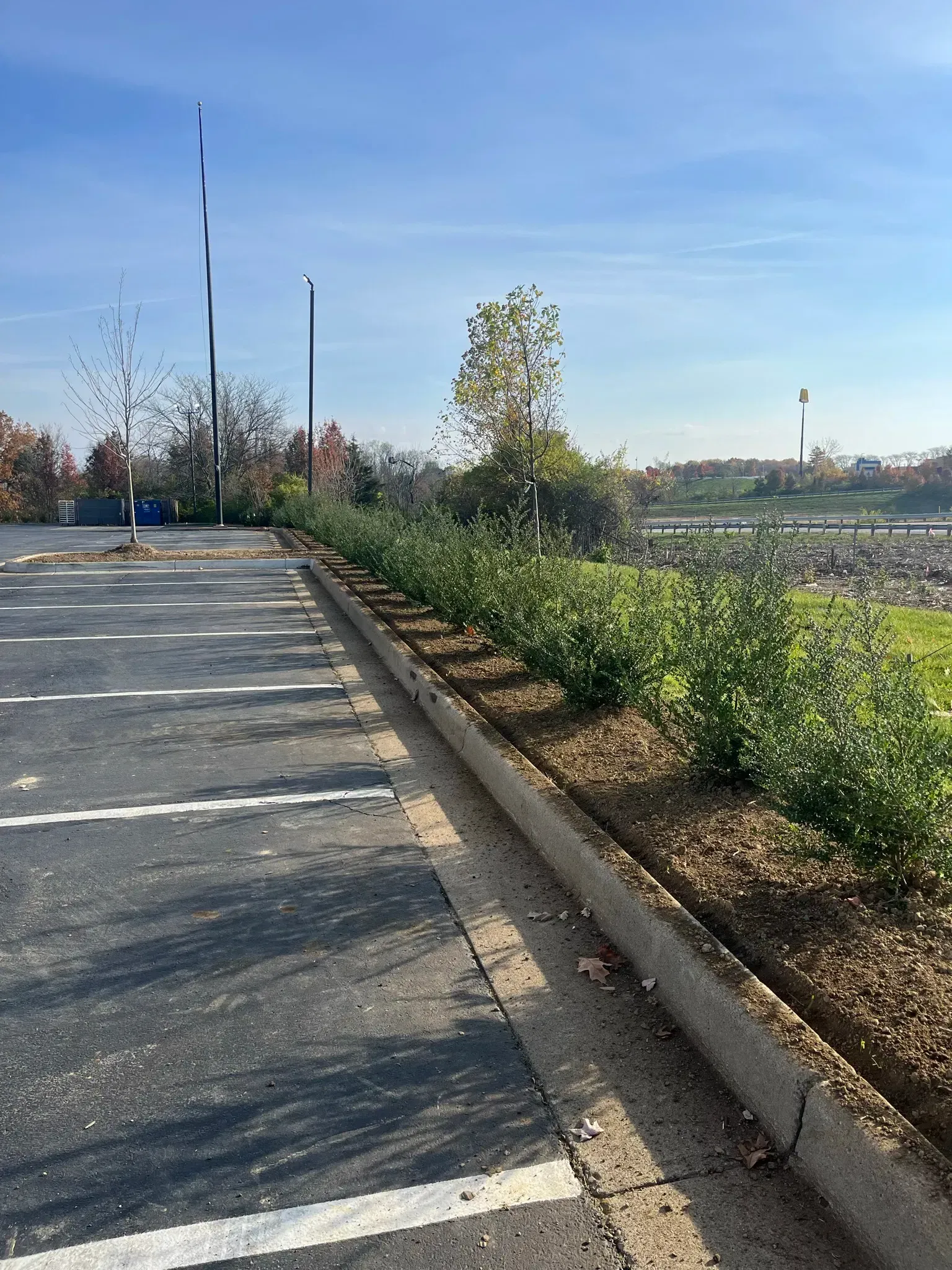 Asphalt parking lot with landscaped border of shrubs and concrete curb on a sunny day.