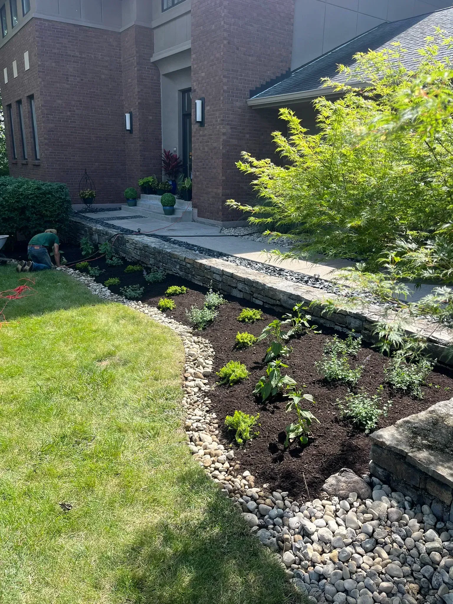 Landscaped front yard with new plants, dark mulch, and a stone border.