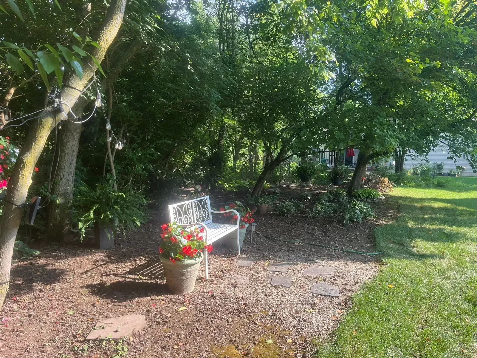 White bench in a garden, flanked by trees and a pot of red flowers; sunny day.