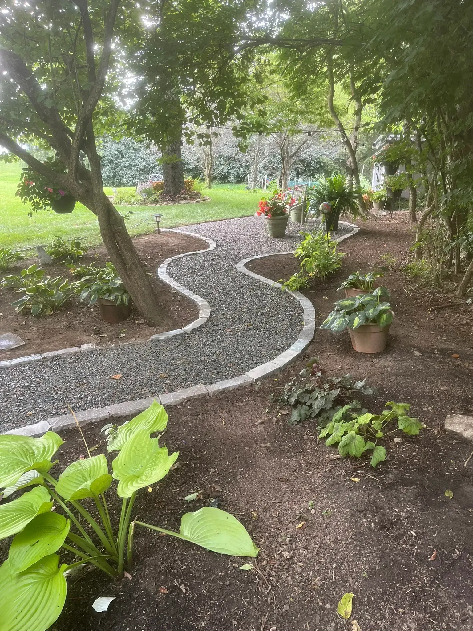 Winding gravel path through a garden with lush green plants and trees; a peaceful outdoor setting.