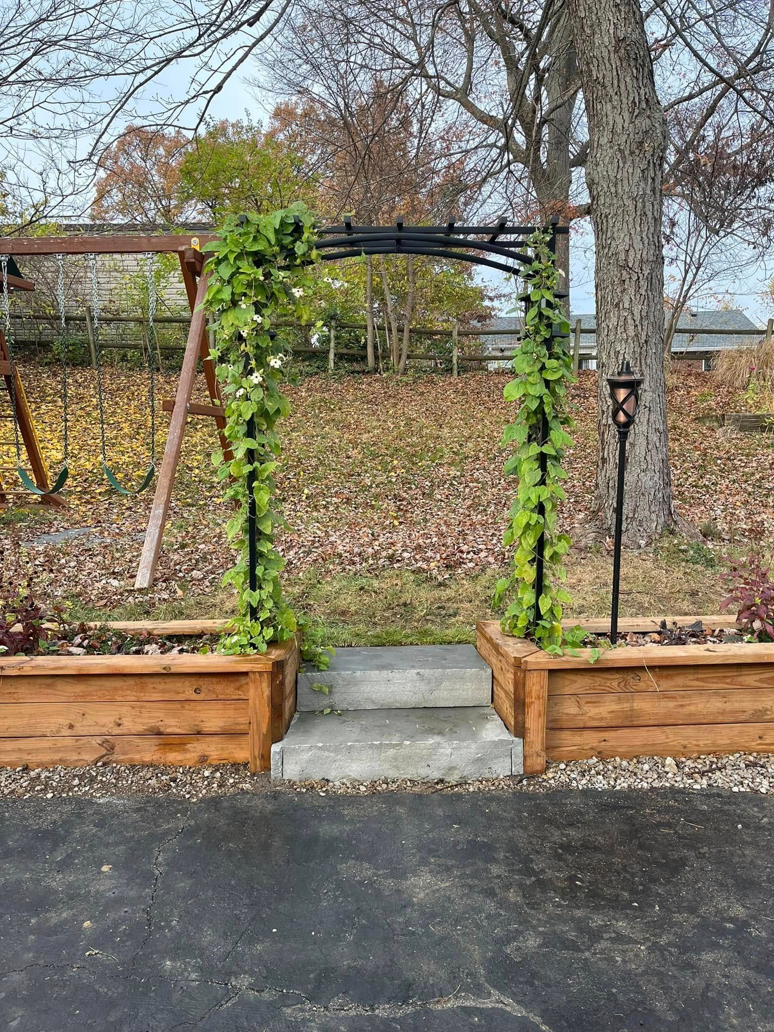 A garden arch with climbing plants between two wooden raised beds, in a yard.
