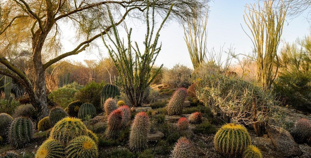 Landscape Tutorials/Events