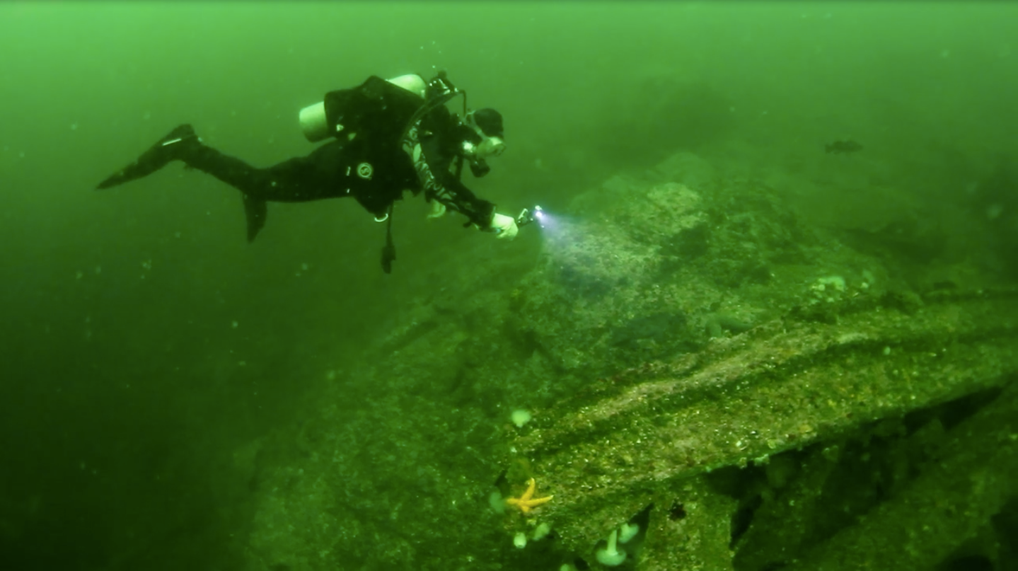 A scuba diver is swimming in the water with a flashlight.