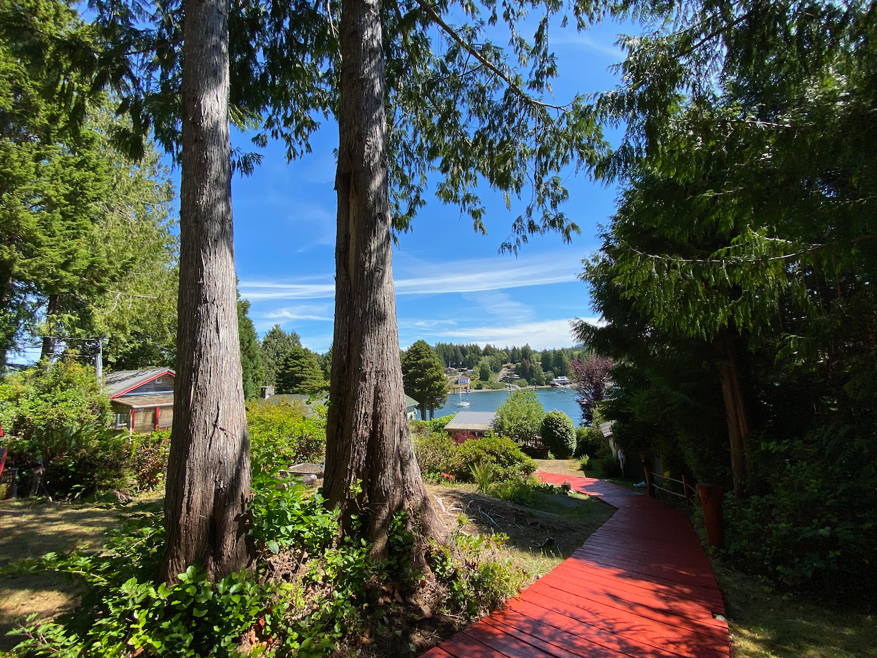 A red path with trees on both sides leading to a body of water
