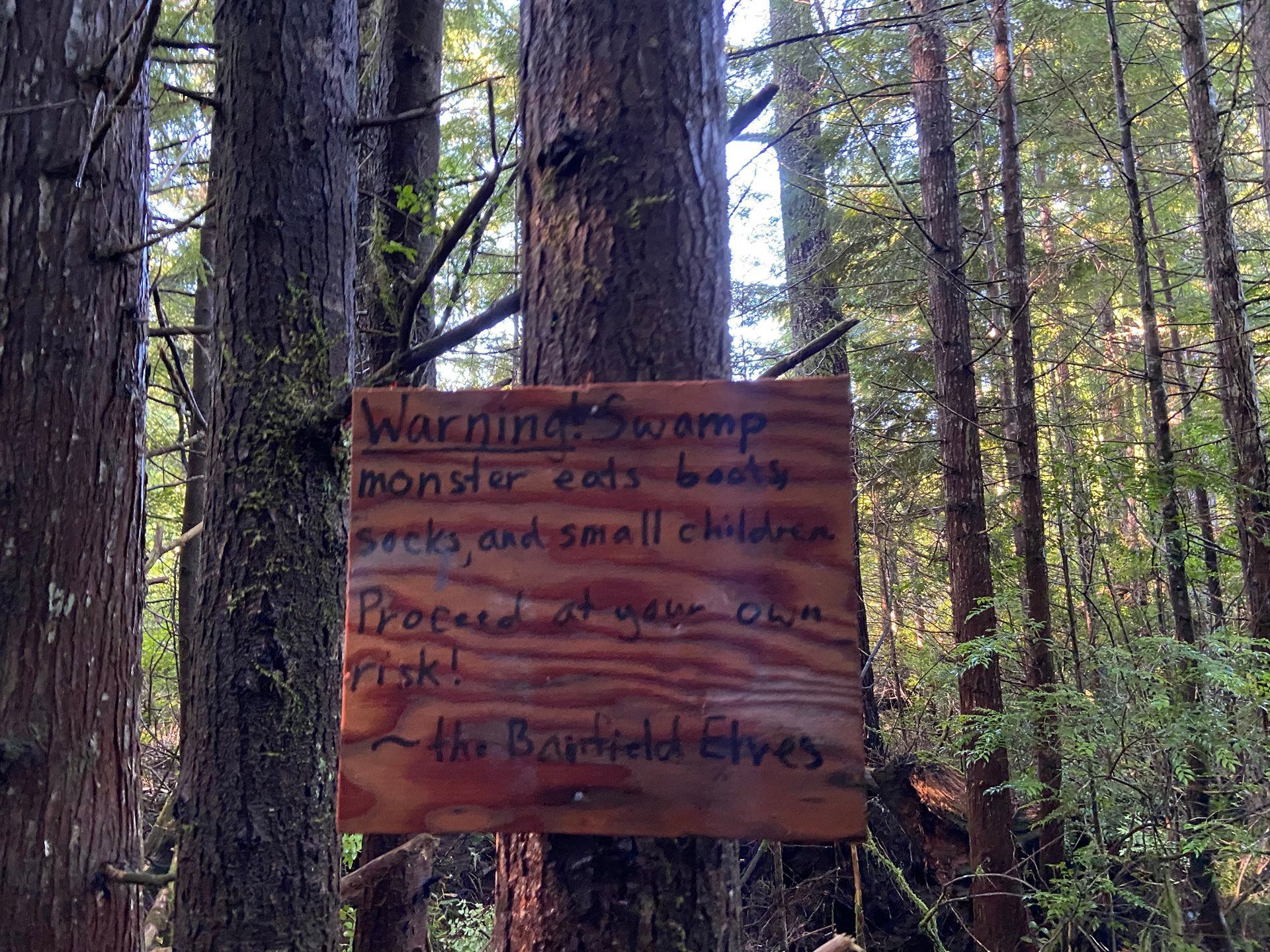 A wooden sign is hanging from a tree in the woods