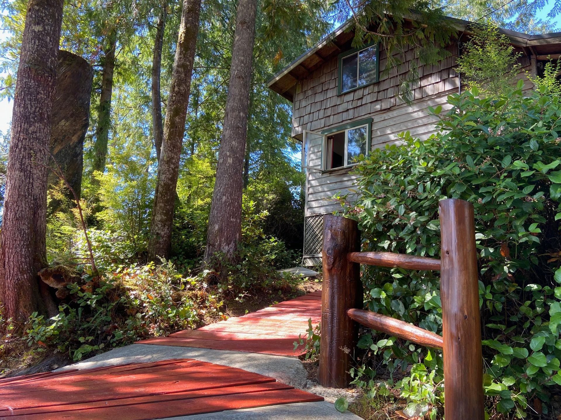 A wooden walkway leading to a body of water surrounded by trees.