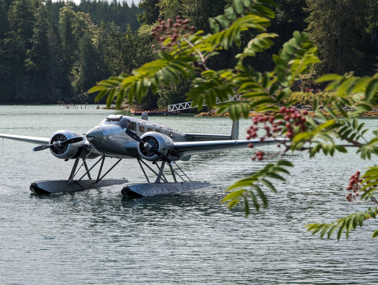 A small plane is floating on a lake with trees in the background