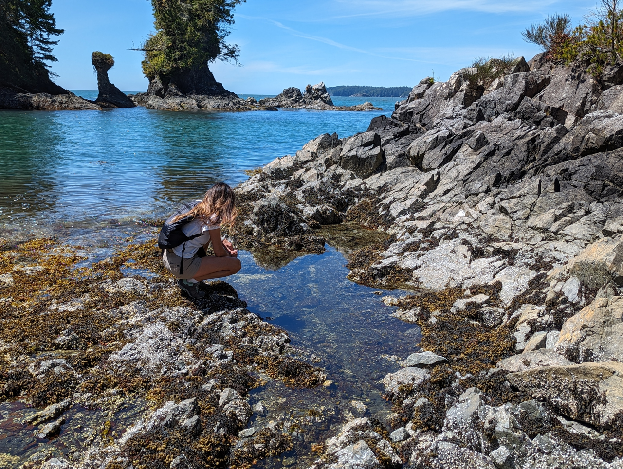 A woman is standing on a rocky beach near the water.