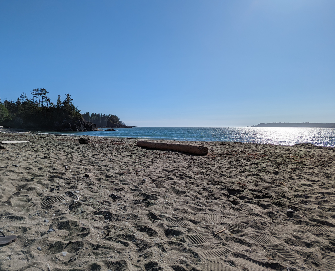 A beach with a log in the sand and trees in the background