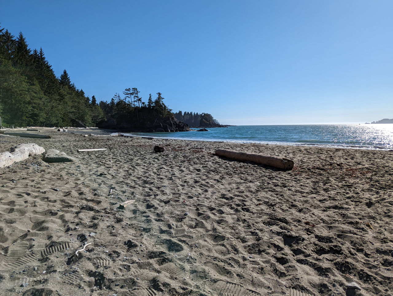 A beach with a log in the sand and trees in the background