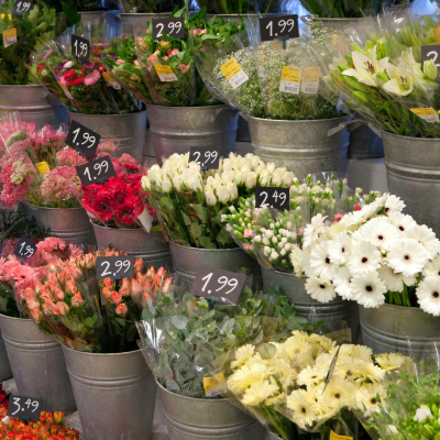 Flowers in flower shop