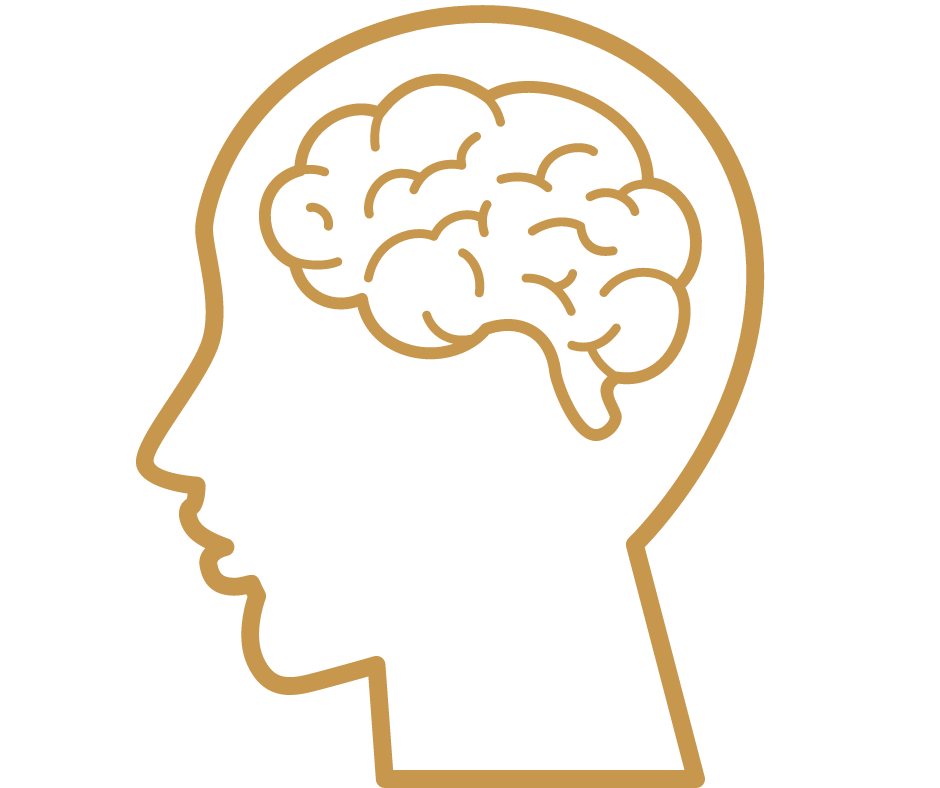 darm brein connectie, nervus vagus, depressie, vermoeidheid, laag energiepijl