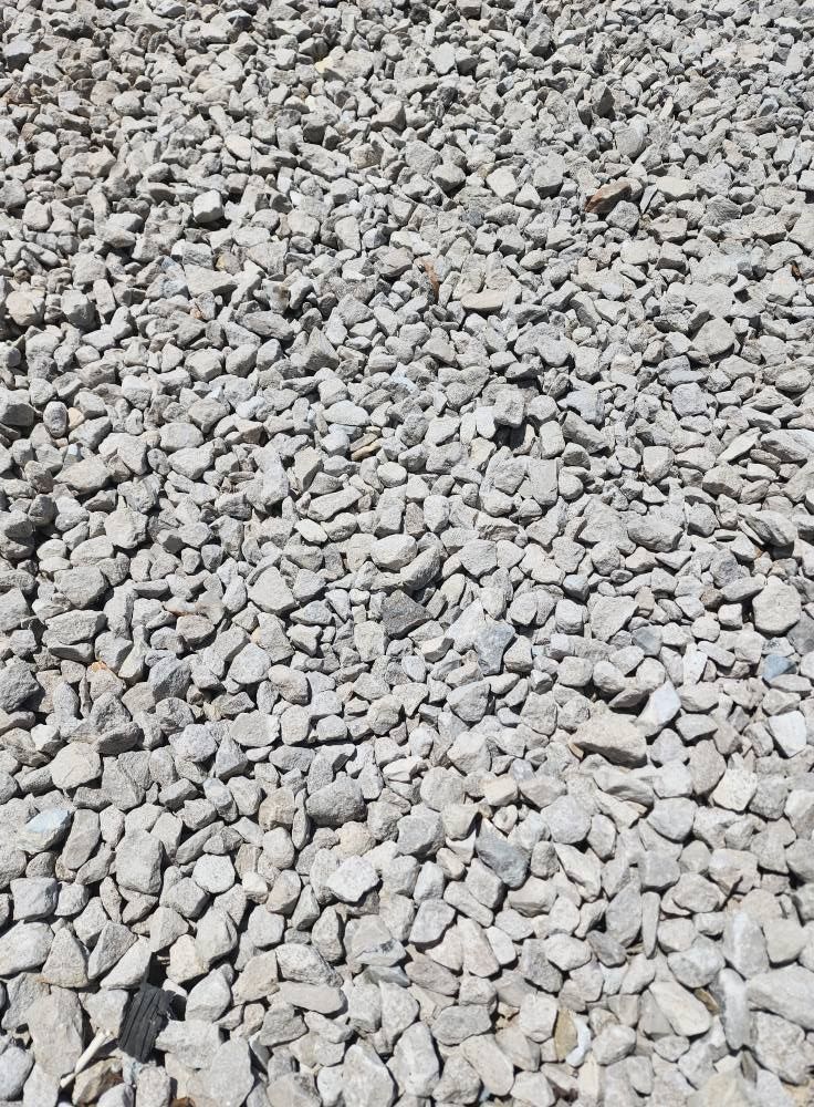 Close-up of many small, light-colored rocks scattered on a surface.