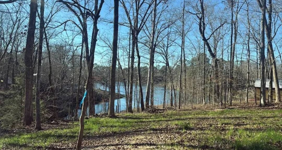 A grassy clearing with bare trees overlooking a lake under a clear blue sky.