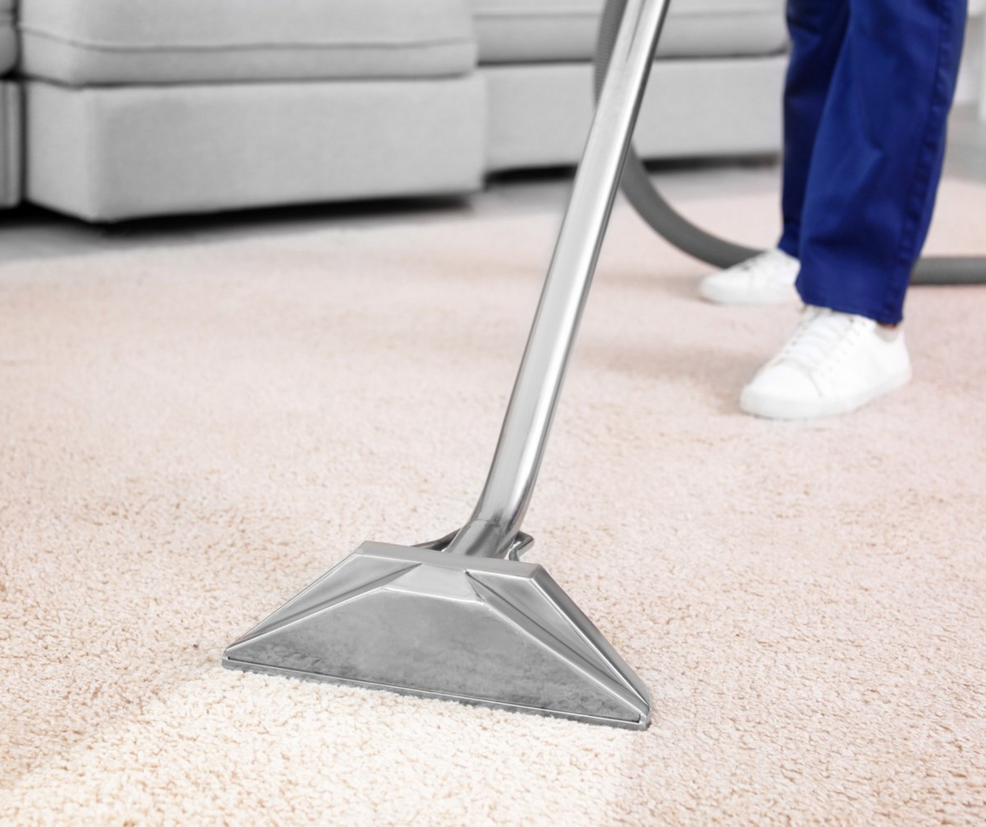 Carpet Cleaning