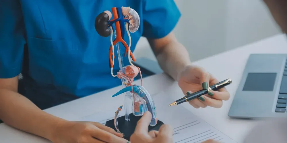 Diagnostic des infections urinaires