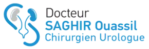logo dr saghir