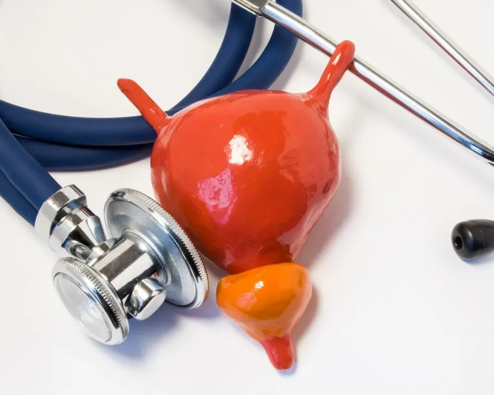 l’adénome de la prostate chez l’homme