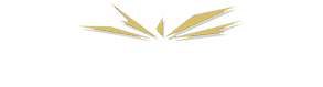 Hampshire surrey & Berkshire firework display company