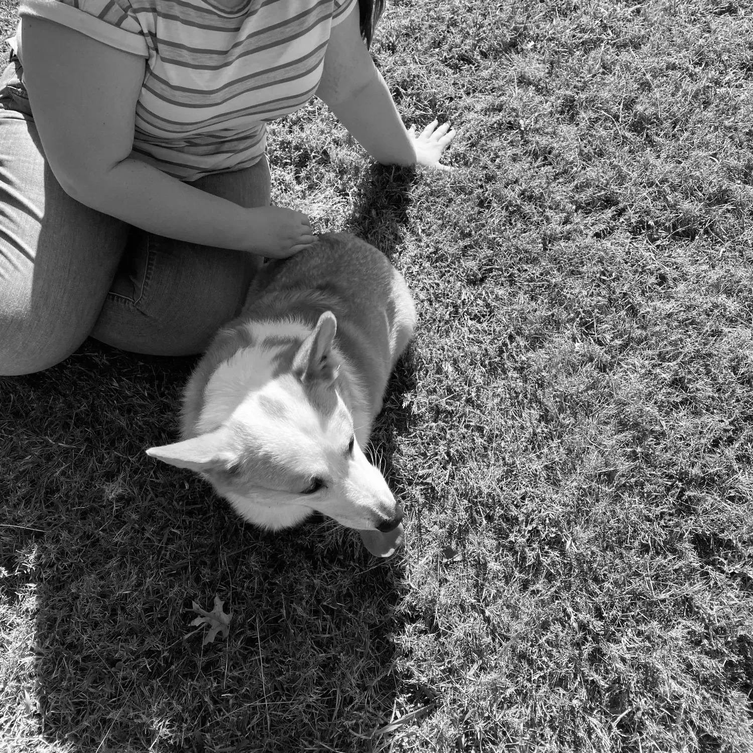 A black and white photo of a person petting a dog in the grass.