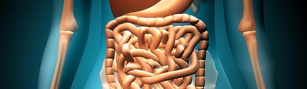 Dra. Leticia Diaz Caldelas