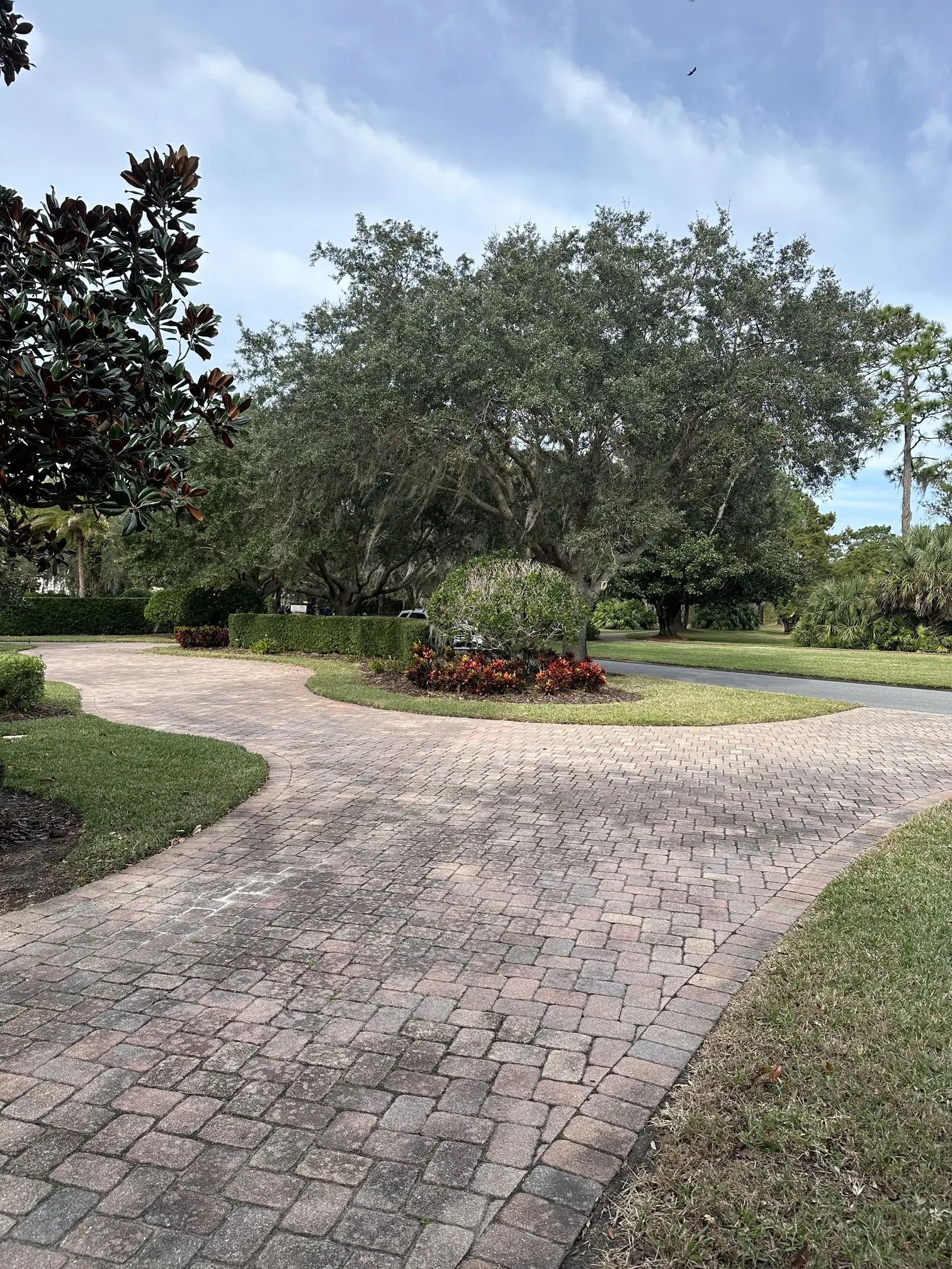 Brick driveway curves around a landscaped island with a large tree and colorful flowers; sunny day.