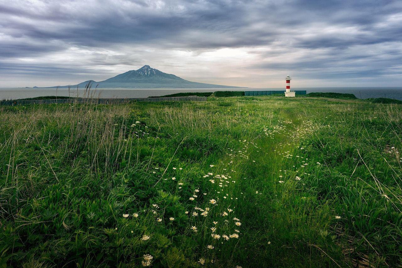 Coastal Meadow With Lighthouse And Distant Mountain Under Cloudy Sky