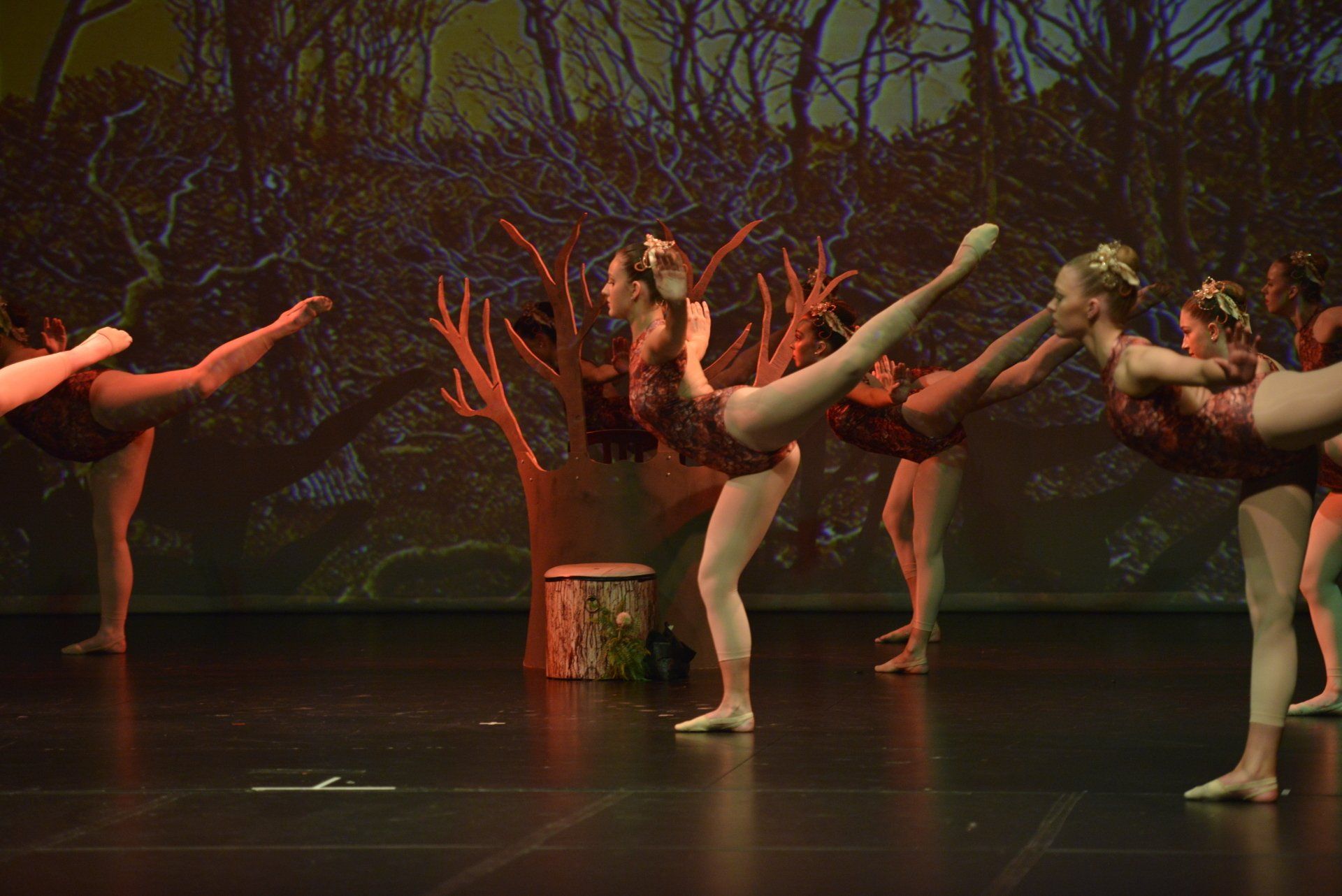 Gallery The Academy of Classical Ballet Ballarat