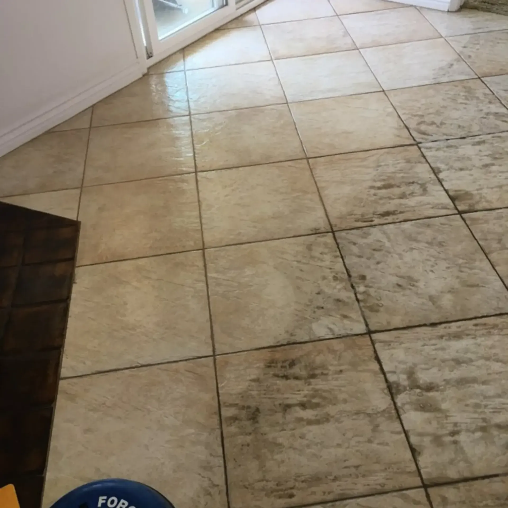 Powerhouse Carpetcleaning - A tiled floor with a blue bowl that says for on it