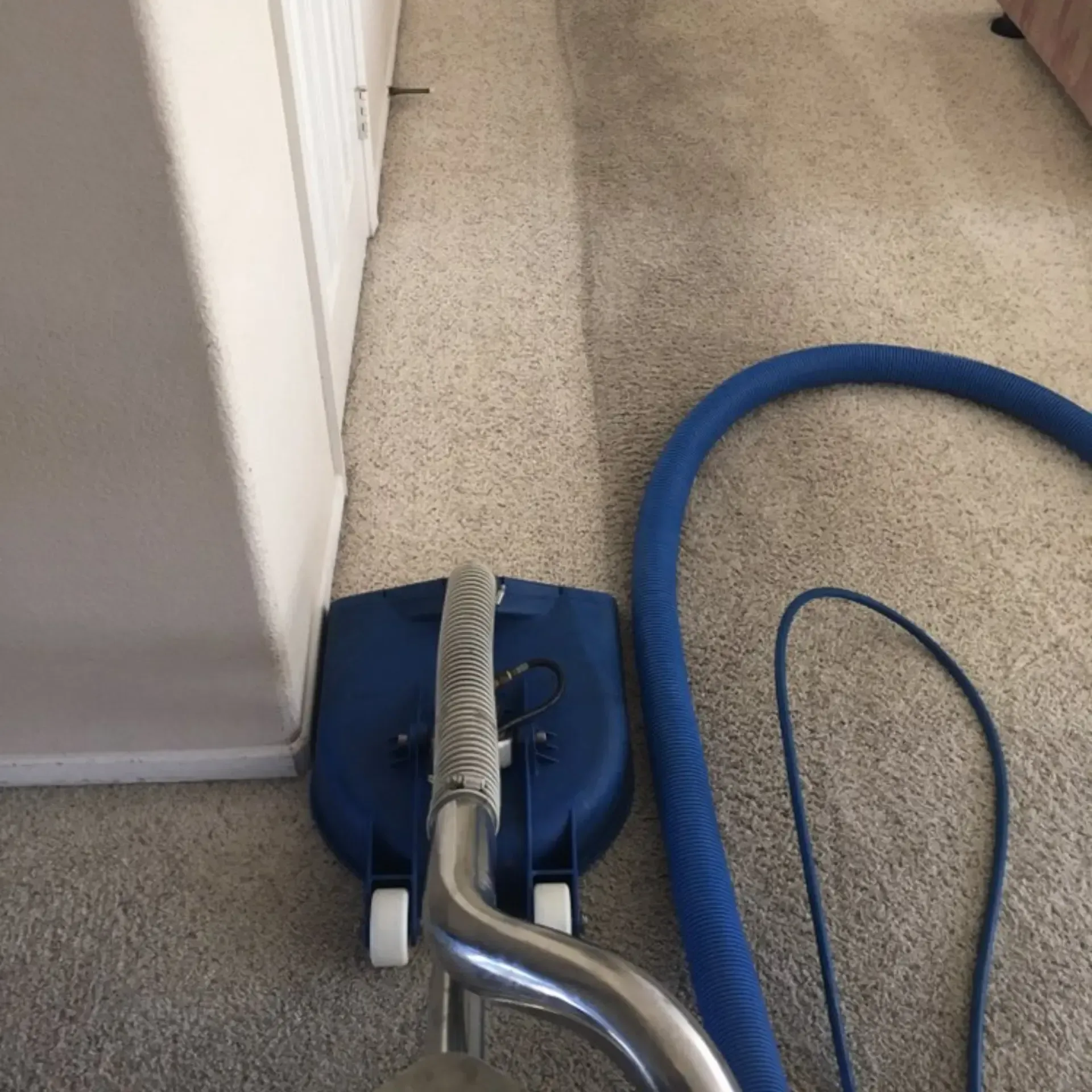 Powerhouse Carpet cleaning - A blue vacuum cleaner is sitting on a carpet next to a blue hose