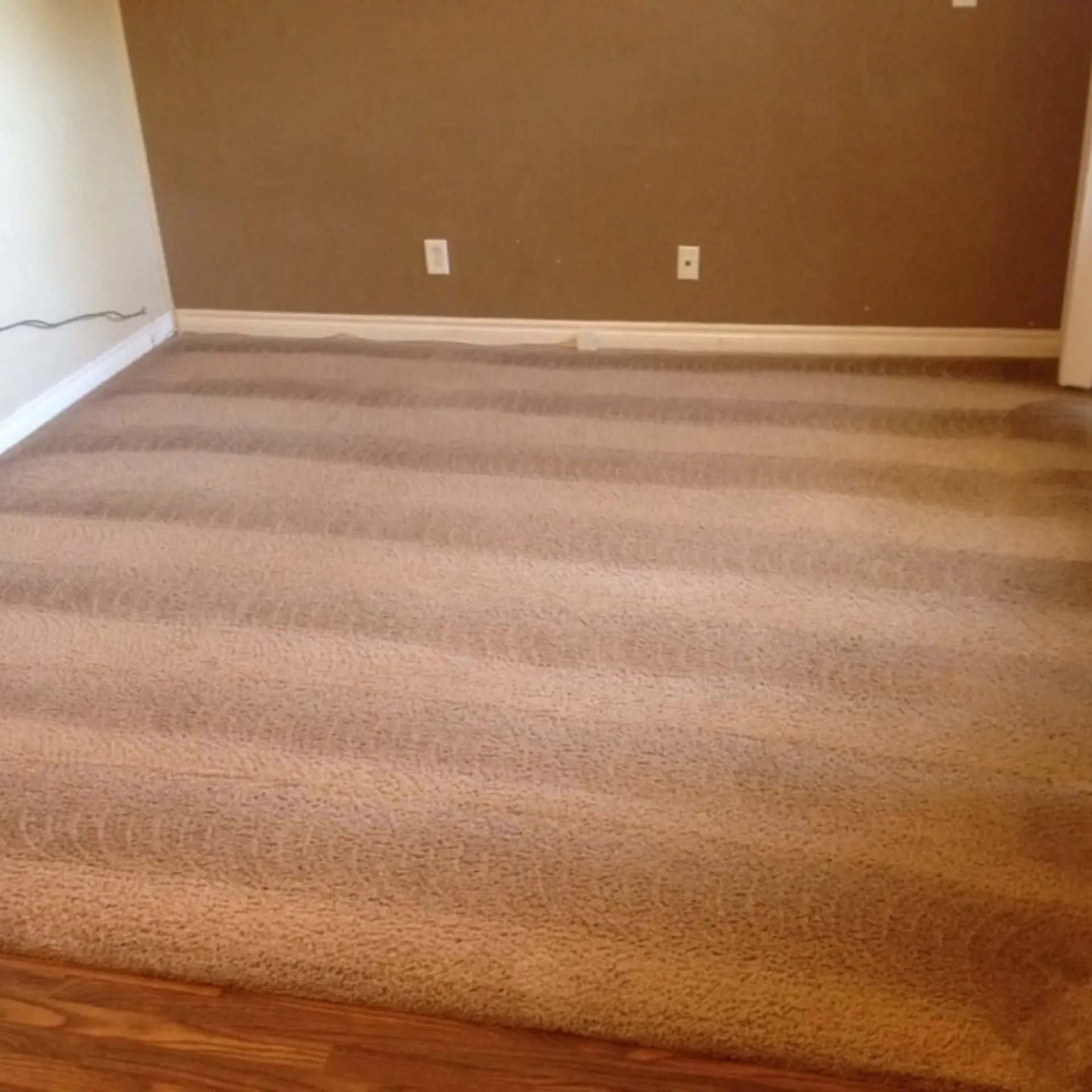 Powerhouse Carpet cleaning - A room with a striped carpet and brown walls.
