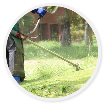 commercial grass cutting services near me> OFF-64%
