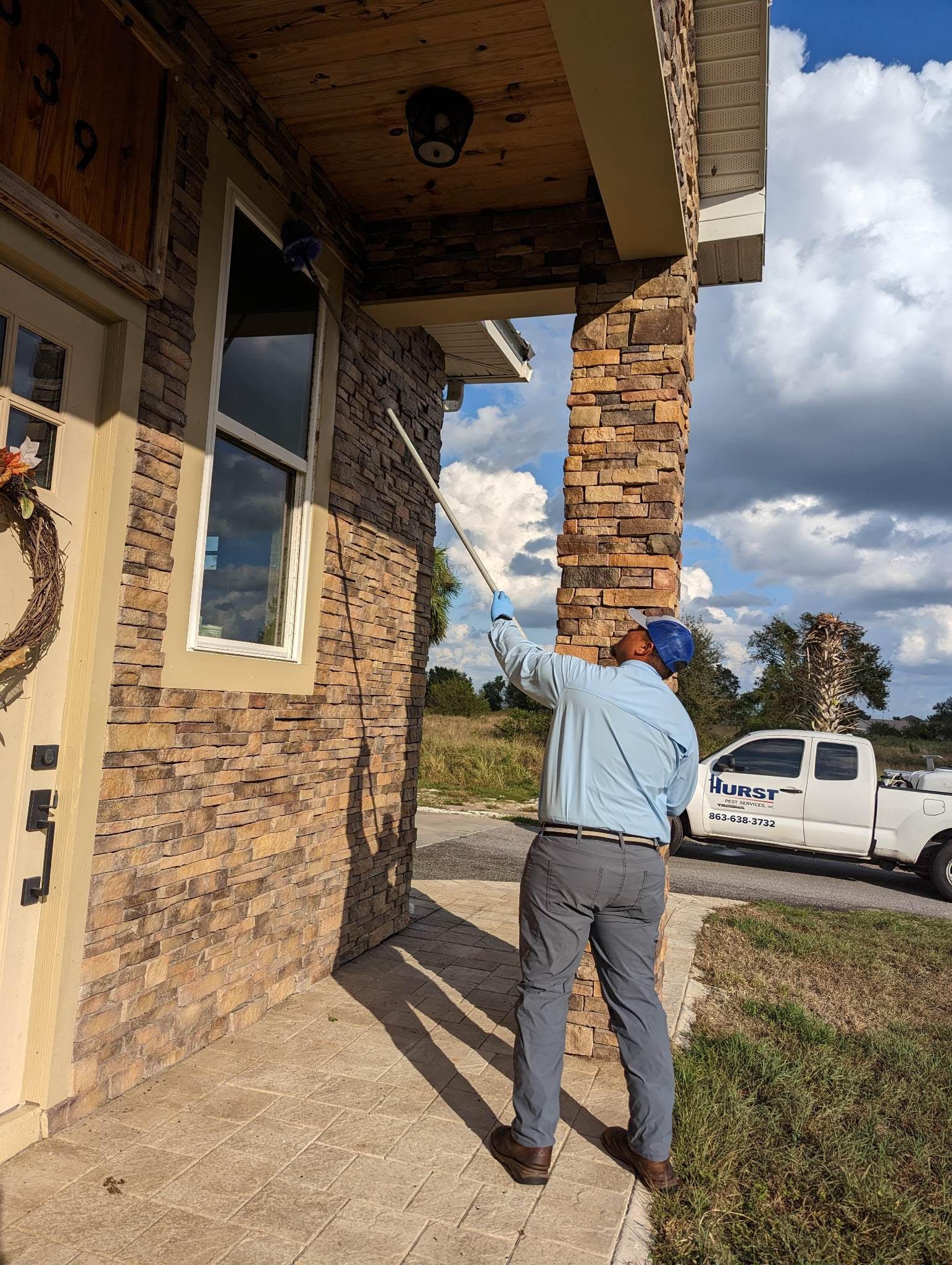 Removing spiders from home