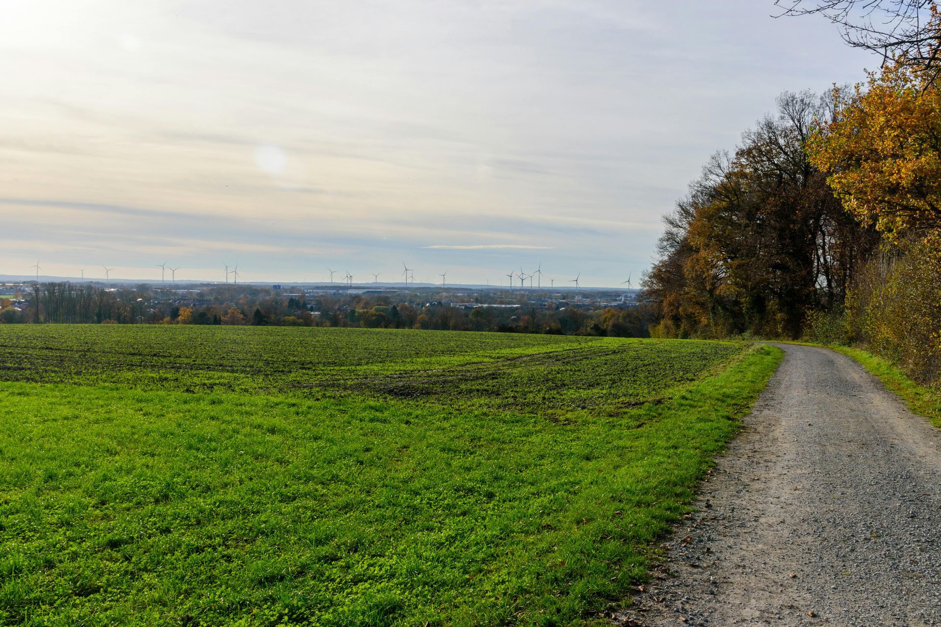 Gravel path next to a green field and a forest. Wind turbines and a town are in the distance.