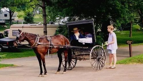 Carriage Rent — Wilton, WI — Tunnel Trail Campground
