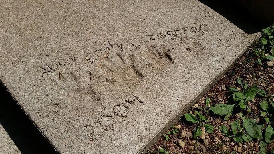 Hand Print on Cement — Wilton, WI — Tunnel Trail Campground