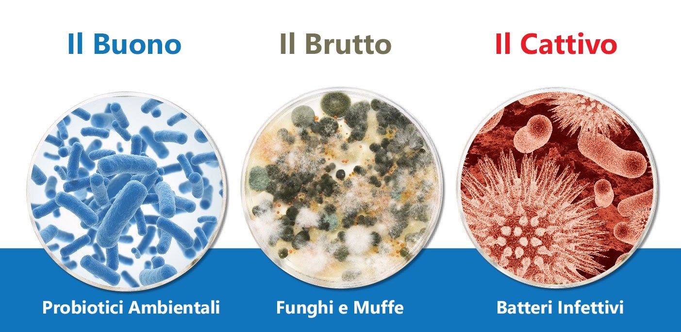 pulizia e sanificazione serbatoio acqua camper